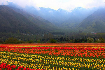 Srinagar